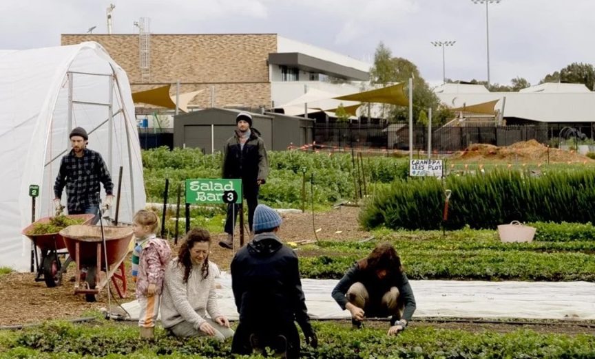 Farm Raiser
